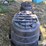 rubbermaid-100-gal-tubs-image-4