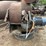 #2410-•-sawdust/shavings-dryer-plant-image-46