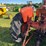 allis-chalmers-d15-series-ii-image-6