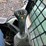 2015-bobcat-t650-image-21