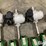 john-deere-8-image-10