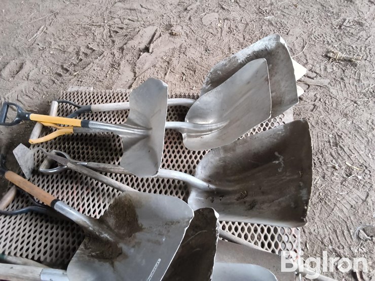 scoop-shovels-image-10
