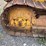 caterpillar-d4d-image-16