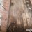 grain-cart-image-20
