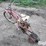 clinton-motorized-bicycle-image-7
