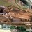 1999-john-deere-893-image-18