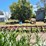 case-ih-183-image-6