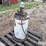 balcrank-2854-50:1-pneumatic-piston-grease-pump-image-2