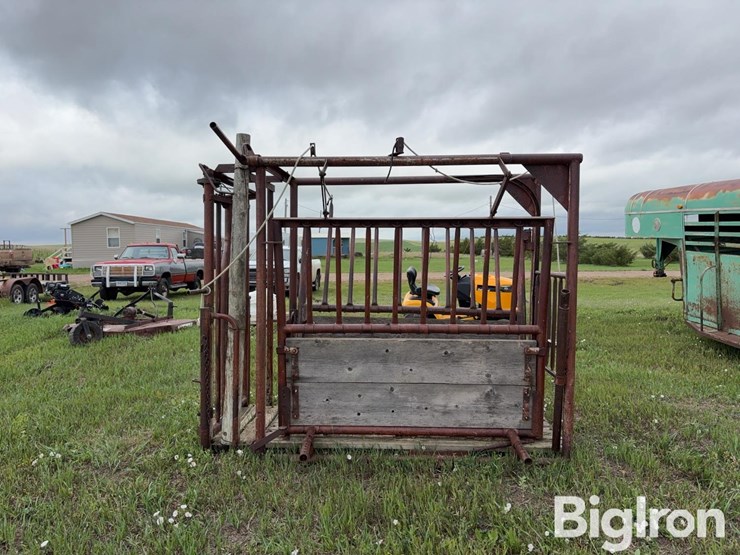 beef-master-cattle-chute-image-8