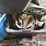 various-straps-image-14