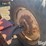 massey-ferguson-101-image-17