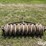 concrete-cultipacker-image-10