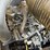 2013-yanmar-c30-image-17