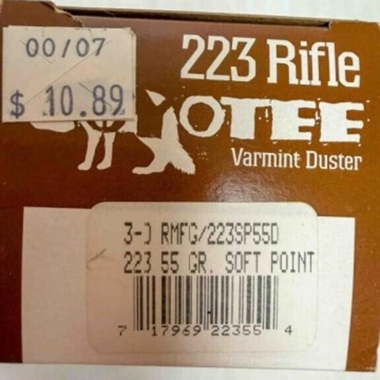 .223 ammo