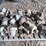 misc-electric-motors-image-4