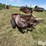 farmall-manure-spreader-image-7