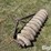 concrete-cultipacker-image-7