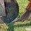 whitfield-forestry-88e-one-row-tree-planter-image-9