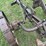 john-deere-2-image-16