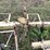 john-deere-7100-image-15