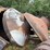 #2410-•-sawdust/shavings-dryer-plant-image-96