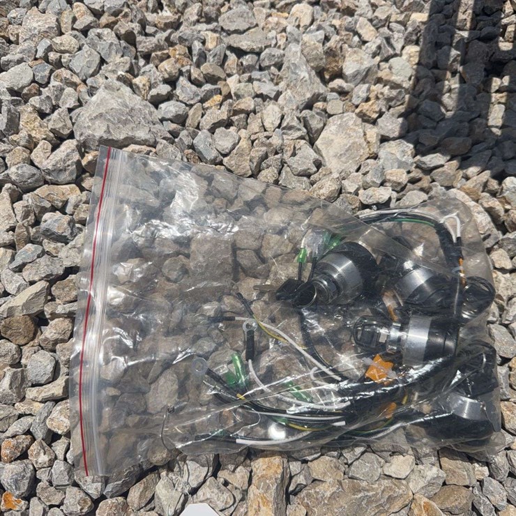 Ignition Switch Assemblies