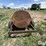 homemade-fuel-trailer-image-6