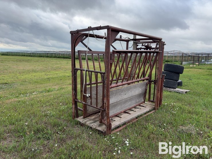 beef-master-cattle-chute-image-5