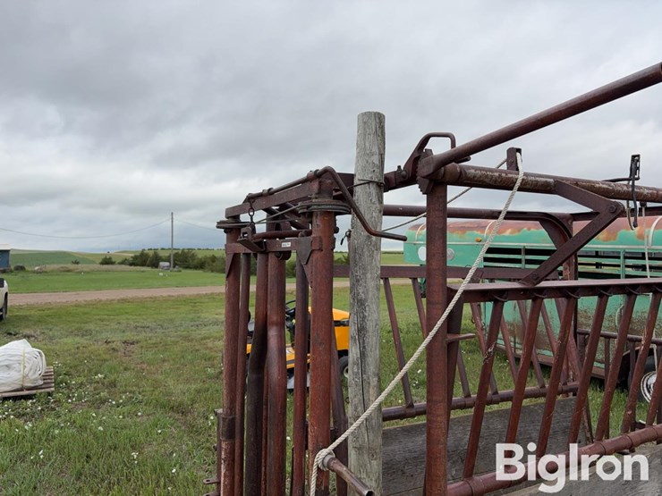 beef-master-cattle-chute-image-10