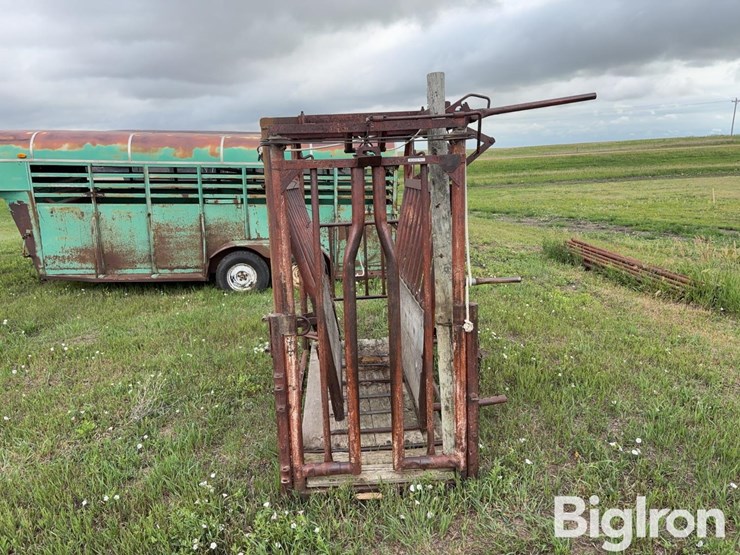 beef-master-cattle-chute-image-2