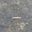 #1192-•-22'-sylvan-westwind-pontoon-(has-wi-title)-image-95