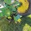 john-deere-model-b-image-10