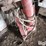 gravity-wagon-seed-tender-image-9