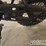 unused-db-10-dirt-bike,-red-image-9