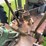 john-deere-model-b-image-20