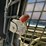 new-holland-c185-image-26