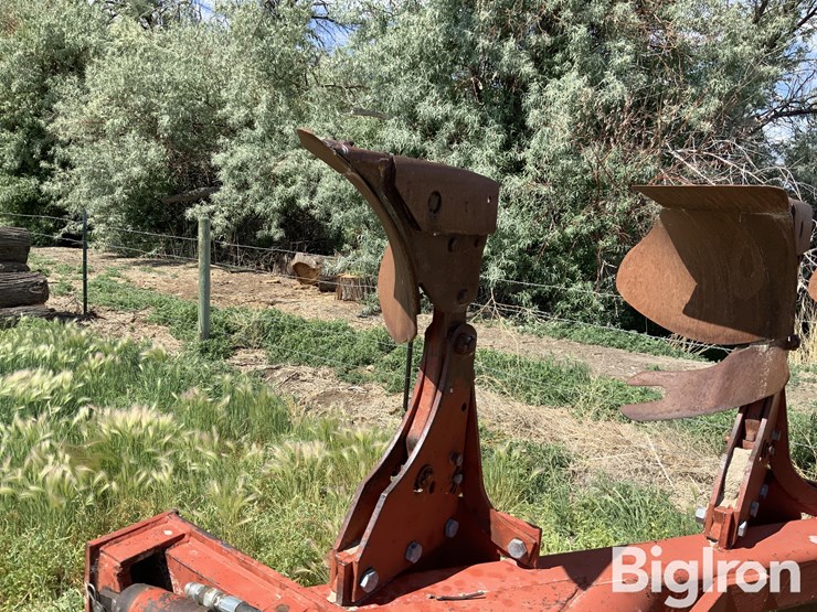 international-140-image-14