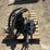 gleaner-r-image-7