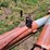 sudenga-auger-w/-truck-hopper-image-16