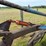 white-5-furrow-plow-image-6