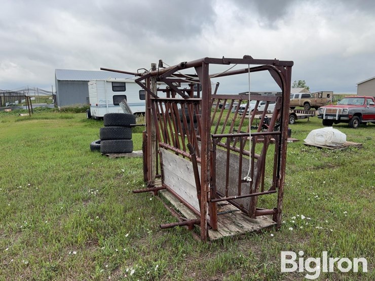 beef-master-cattle-chute-image-7