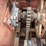 #2408-•-wood-shaving-plant-image-14