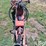 sudenga-auger-w/-truck-hopper-image-11