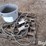various-belts-image-6