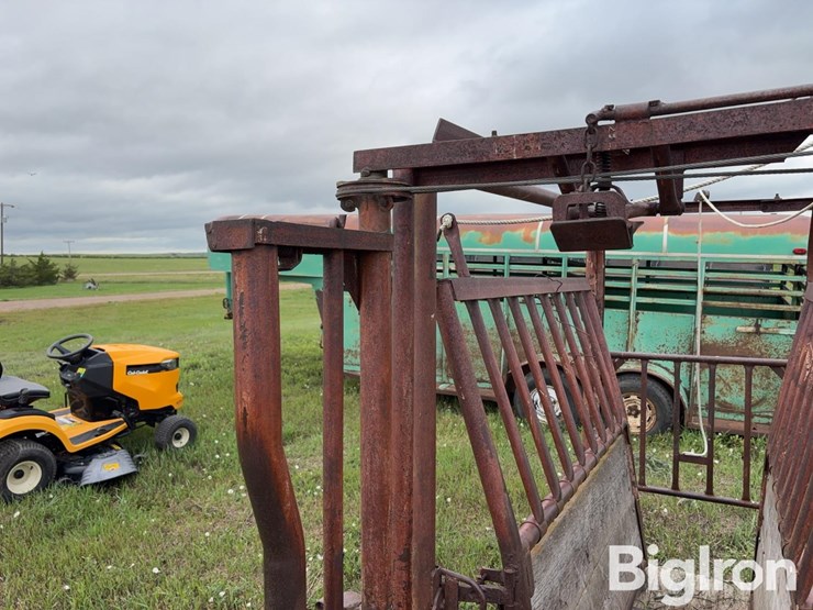 beef-master-cattle-chute-image-18