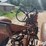 massey-ferguson-44-image-18