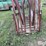 beef-master-cattle-chute-image-11