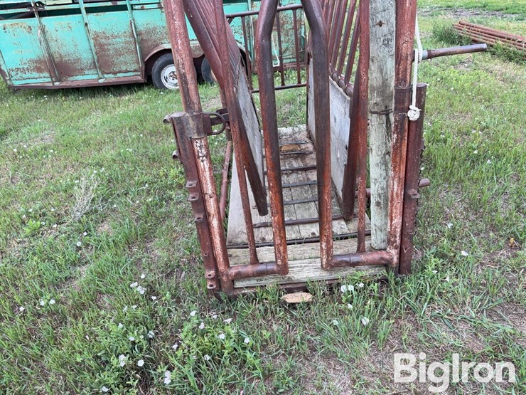 beef-master-cattle-chute-image-11