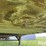 1971-wilson-grain-trailer-image-11