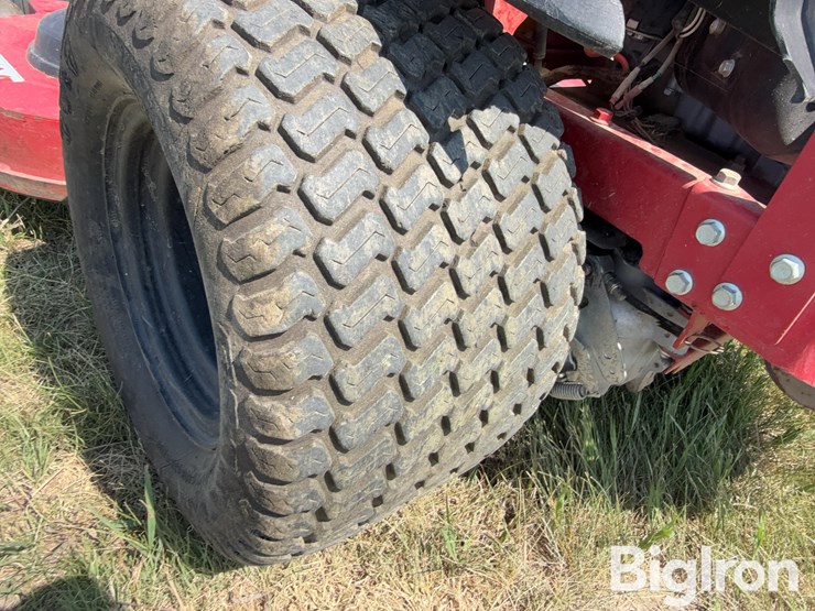 bigdog-alpha-mp-image-20